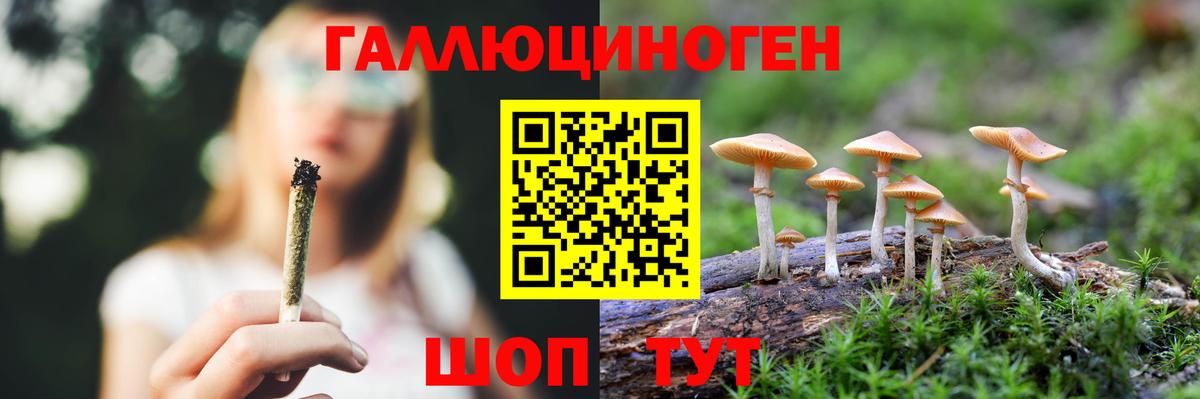 Псилоцибиновые грибы прущие грибы  Псилоцибиновые грибы Psilocybe  Алейск  Вход с VPN 